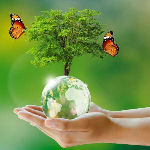 Biodiversity Awareness